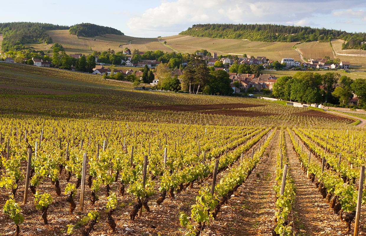 visitez la bourgogne